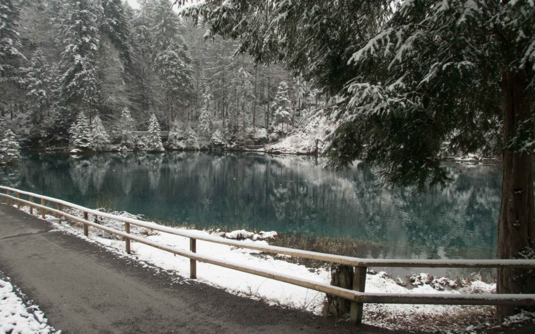 Discover Local Diving « Blausee » Esther, Stefan et Daniel