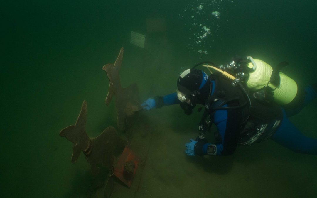 Discover Local Diving « Duzillet » Yves