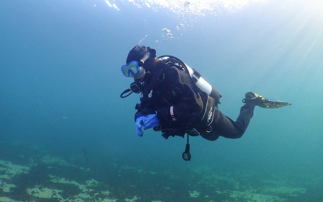 Remise à niveau Sophie