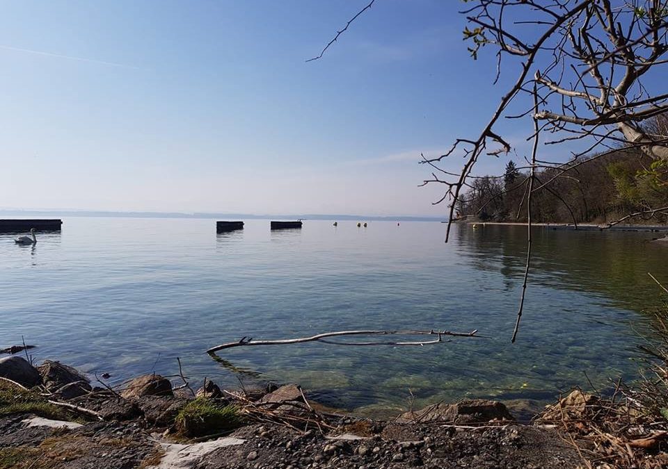 Discover Local Diving « Boudry » Laure