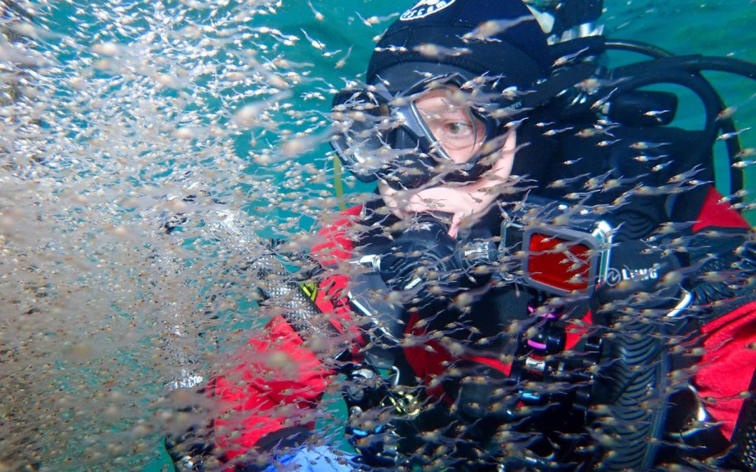 Discover Local Diving « St Prex Débarcadère » Esther
