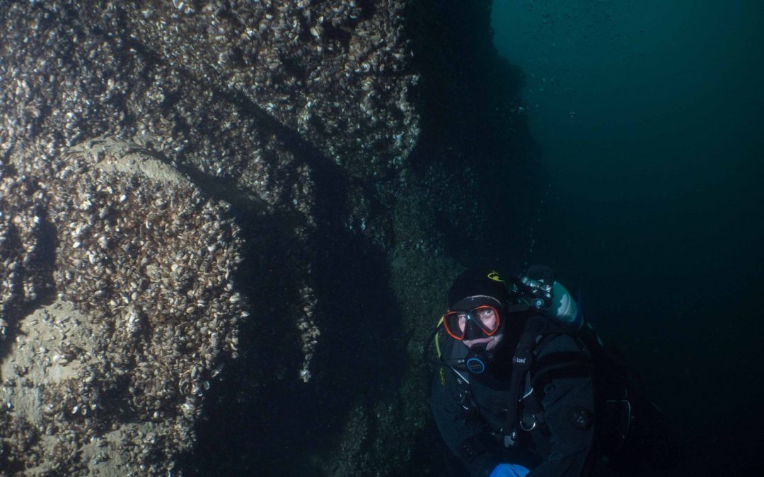 Discover Local Diving “Vinorama” Joël