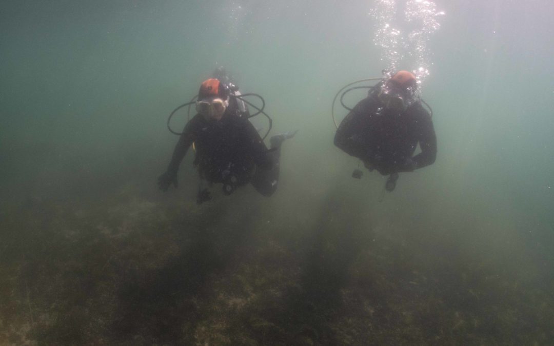 Discover Local Diving « Morges Circuit » Yann et Aymerick