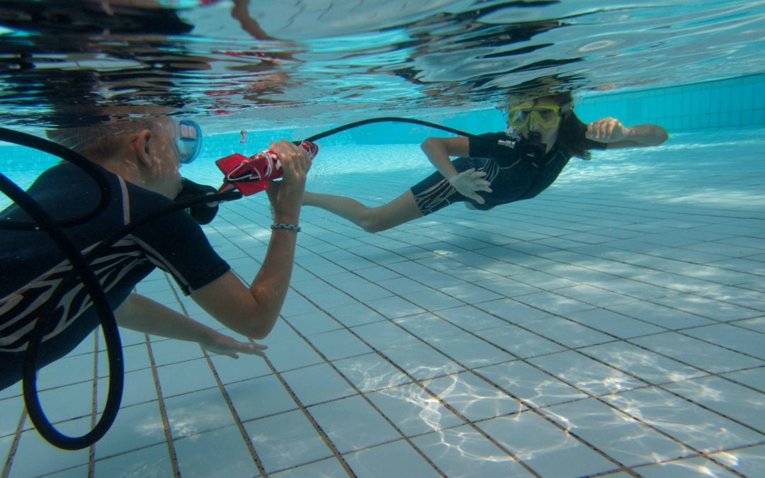 Pieuvre Elisa et Hector