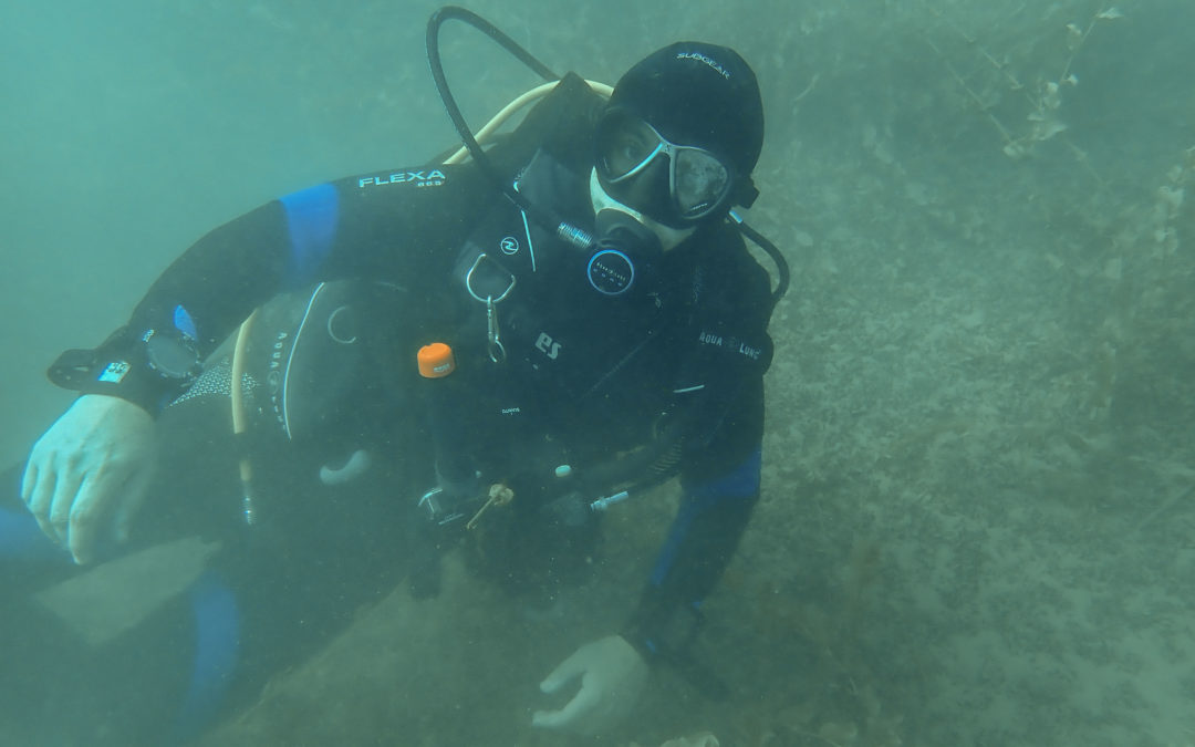 Discover Local Diving « Morges Circuit » Laure, Mélanie et Ella