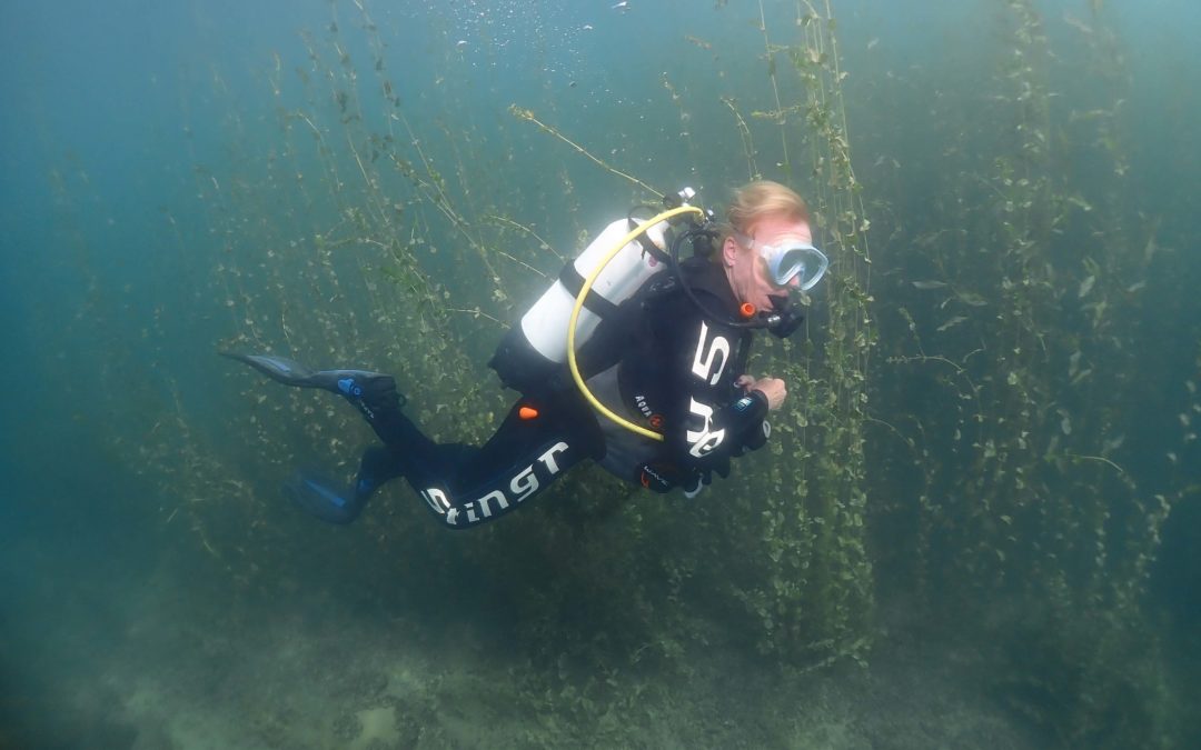 Discover Local Diving « Morges Circuit » Véronique