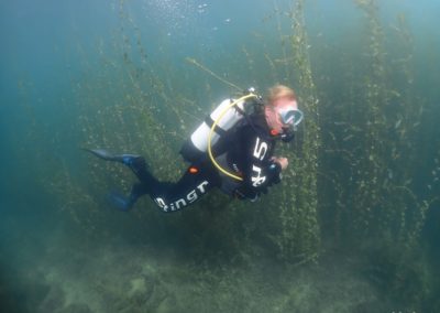 Discover Local Diving « Morges Circuit » Véronique