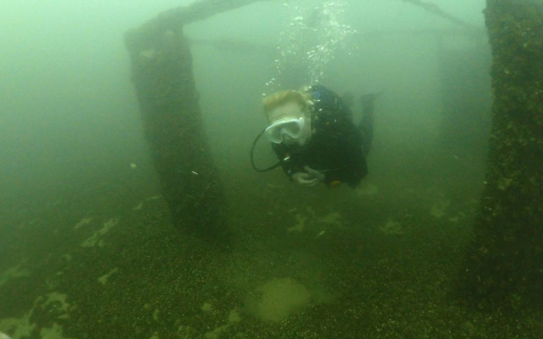 Discover Local Diving « St Prex Plage » Véronique