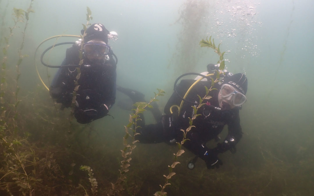 Divemaster Tania