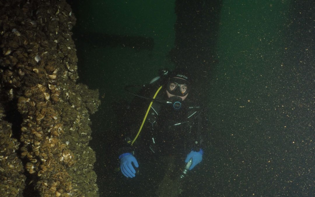 Discover Local Diving « Quais de Vevey » Laure