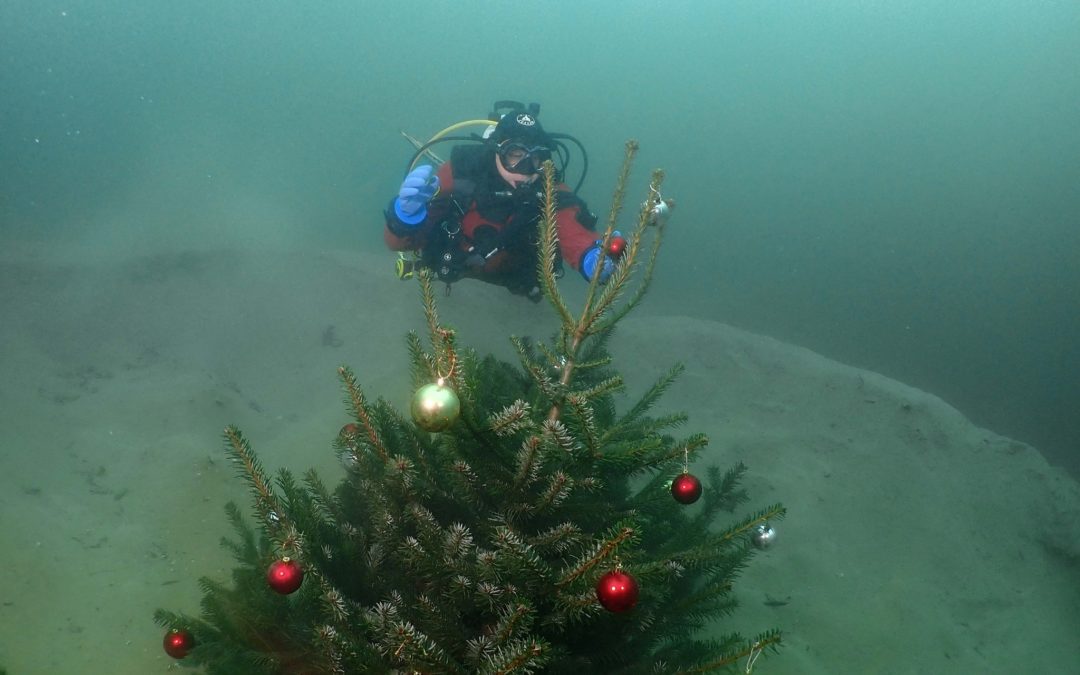 Noël Esprit de la Plongée 2020