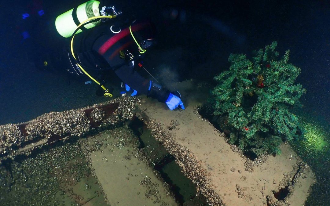 Discover Local Diving « St Prex Plage » Isabelle et Horst
