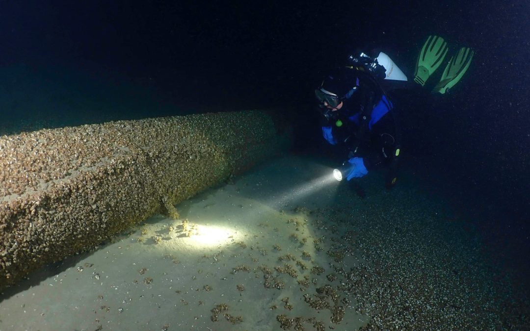 Discover Local Diving « Le Perrier » Steve