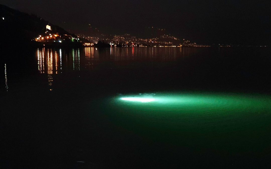 Discover Local Diving « Rivaz Gare » Laure