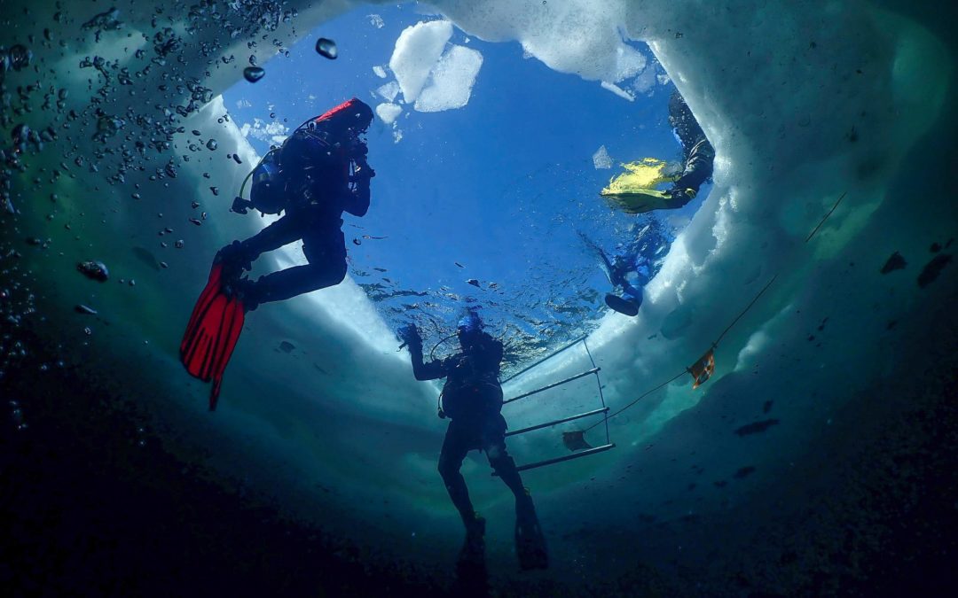 Discover Local Diving « Lioson » Scuba-Shop Villeneuve