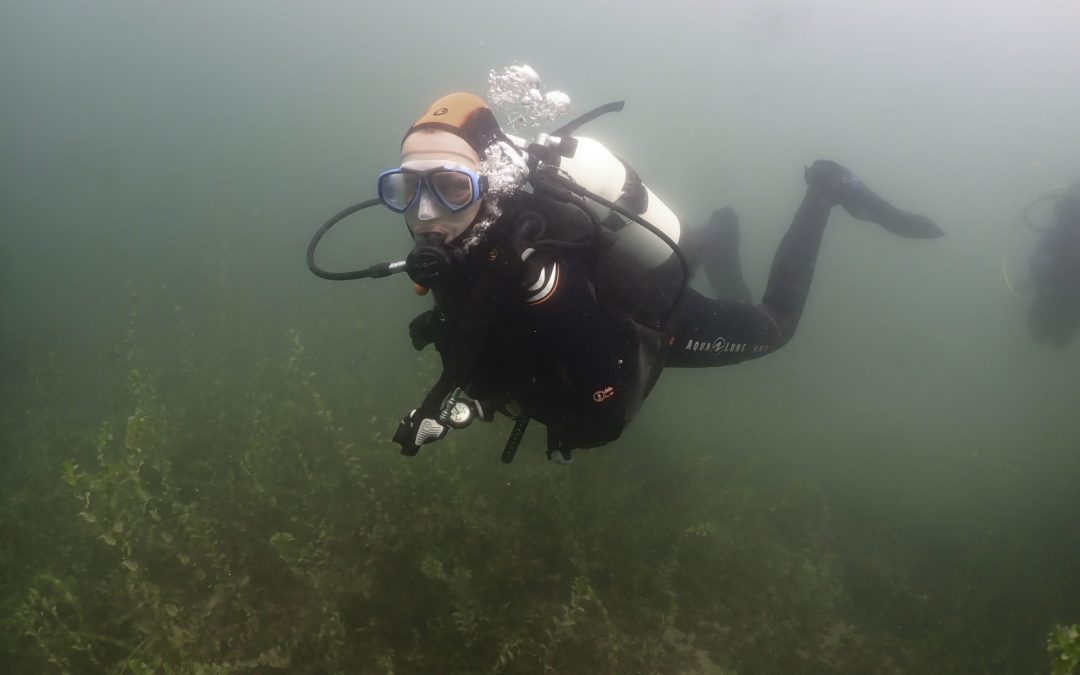 Discover Local Diving « Morges Circuit » Katharina