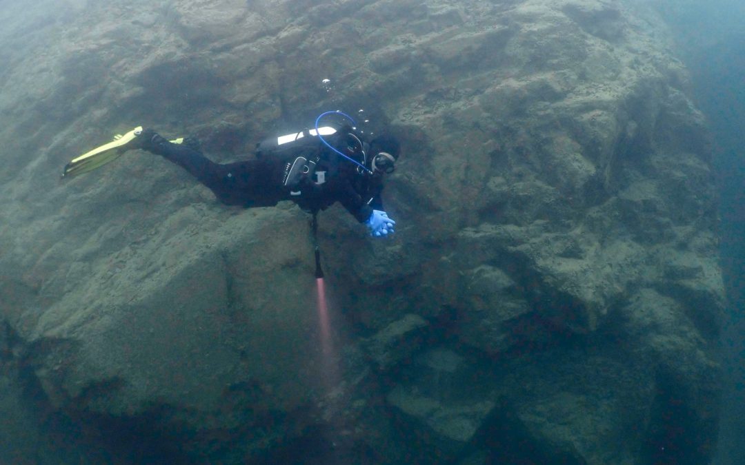 Discover Local Diving « Lac de Thoune » Michel