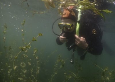 Open Water Diver Vincent