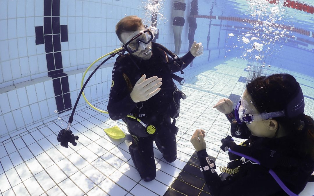 Open Water Diver Nicolas
