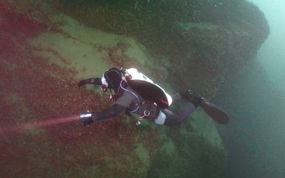 Discover Local Diving « Rivaz Gare » Christelle