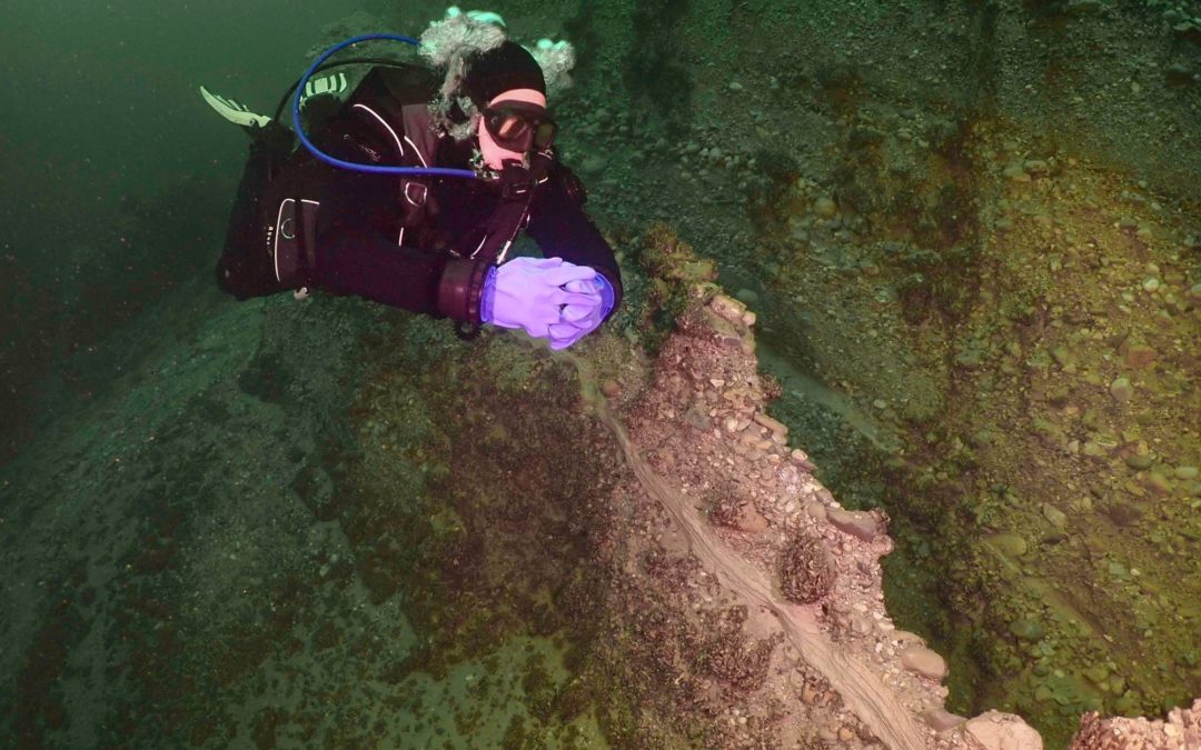 Discover Local Diving « Vaumarcus » Michel