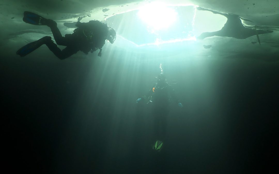 Discover Local Diving « Lioson » Laure, Mélanie et Florian